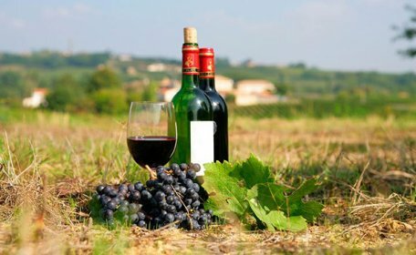Плохая погода во Франции обрушила производство вина на 17%